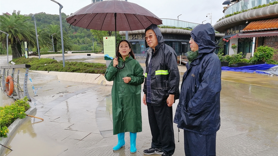 04-8月16日，程總視察三江半島及豪威爾號(hào)受損情況_副本